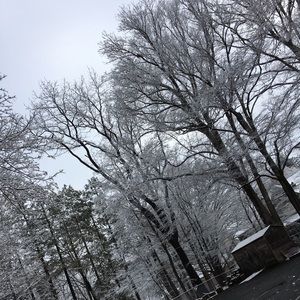 Meet your Posher, Lena